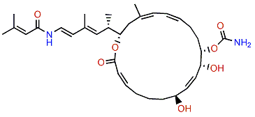 Palmerolide A